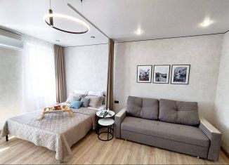 Сдаю в аренду квартиру студию, 35 м2, Тюмень, Краснооктябрьская улица, 8