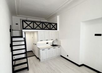 Продаю квартиру студию, 24 м2, Санкт-Петербург, Греческий проспект, Центральный район