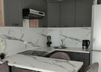 1-комнатная квартира в аренду, 36 м2, Тюмень, улица Николая Фёдорова, 17к1