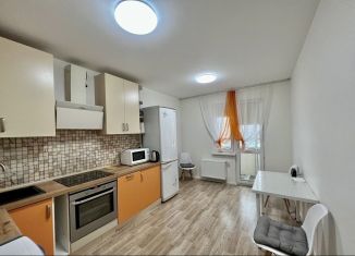 1-комнатная квартира в аренду, 36 м2, Санкт-Петербург, Чарушинская улица, 26к1, метро Академическая