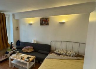 Квартира на продажу студия, 24 м2, Санкт-Петербург, улица Чайковского, 77, Центральный район