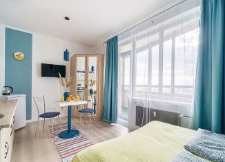 Продам квартиру студию, 24.3 м2, Санкт-Петербург, Калининский район, проспект Маршала Блюхера, 6к2