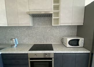 Сдается 2-ком. квартира, 58 м2, Санкт-Петербург, Пискарёвский проспект, 165к1, метро Академическая