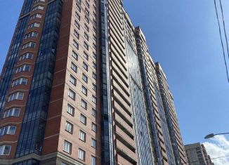 Продаю квартиру студию, 28.8 м2, посёлок Парголово, Толубеевский проезд, 24