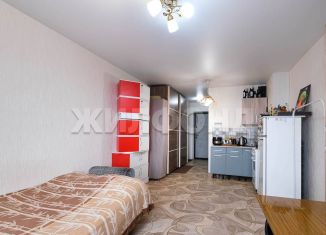 Продается квартира студия, 26.8 м2, Новосибирск, проспект Дзержинского, 32А, метро Золотая Нива