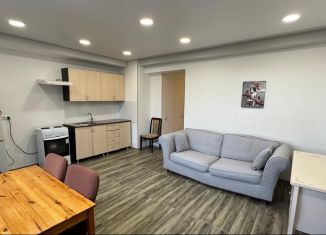 Продажа 1-комнатной квартиры, 60 м2, Сочи, улица Надежды, 8, микрорайон Энергетик-Изумруд