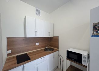 Сдаю в аренду квартиру студию, 22 м2, Екатеринбург, улица Зелёный Остров, 14, Верх-Исетский район