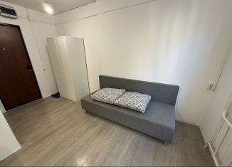 Сдам в аренду квартиру студию, 15 м2, Екатеринбург, улица Малышева, 2Ж, Верх-Исетский район