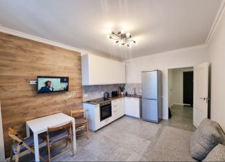 Сдам 2-комнатную квартиру, 60 м2, Новосибирская область, Красноярская улица, 107