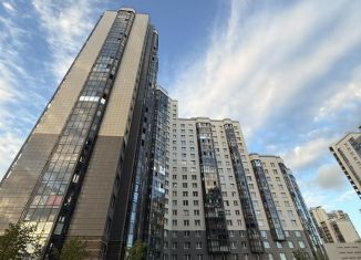 Продажа квартиры студии, 27.2 м2, Санкт-Петербург, Русановская улица, 17к1, муниципальный округ Народный