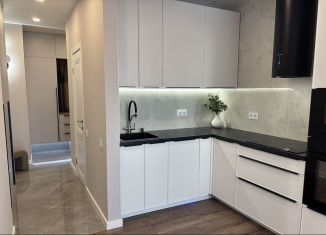 Продажа 1-комнатной квартиры, 45.5 м2, Санкт-Петербург, метро Озерки, набережная реки Каменки, 15к3