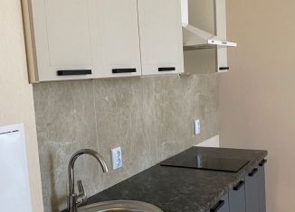 Двухкомнатная квартира в аренду, 33 м2, Верхняя Пышма, Успенский проспект, 113Д