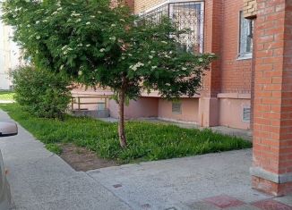 Сдается в аренду квартира студия, 24 м2, Новосибирск, улица Гребенщикова, 5/1