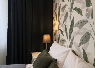 Квартира в аренду студия, 27 м2, Мурино, проспект Авиаторов Балтики, 9к3, ЖК Виктория