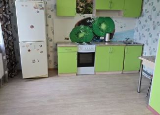 Сдаю квартиру студию, 28 м2, Ульяновская область, проспект Ливанова, 8