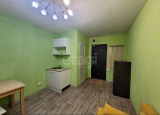 Продам квартиру студию, 15 м2, Новосибирск, метро Студенческая, улица Блюхера, 53