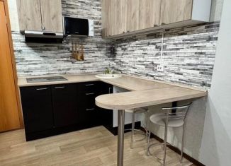 Сдам квартиру студию, 30 м2, Новосибирск, улица Мясниковой, 8