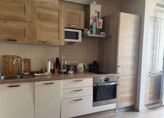 Продаю однокомнатную квартиру, 41.5 м2, деревня Лобаново, Новая улица, 11, ЖК Павловский Квартал