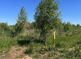 Земельный участок на продажу, 16 сот., Псковская область, Центральная улица, 47