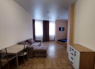 Сдам квартиру студию, 38 м2, Краснодар, улица Горького, 190