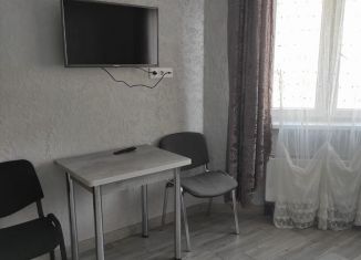 Сдается в аренду квартира студия, 25 м2, Санкт-Петербург, проспект Королёва, 64к1, муниципальный округ Коломяги