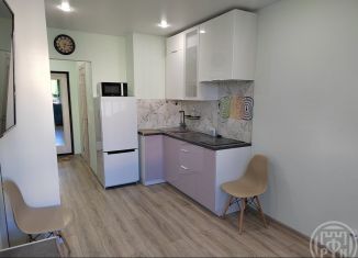 Продам квартиру студию, 19 м2, Ломоносов, Михайловская улица, 51