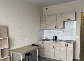 Квартира в аренду студия, 25 м2, Новосибирск, Тульская улица, 80