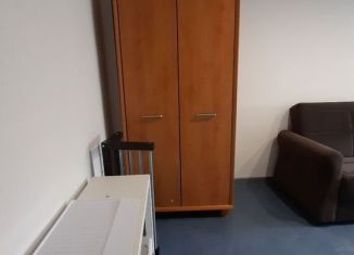 Сдача в аренду однокомнатной квартиры, 30 м2, Никольское, Советский проспект, 225