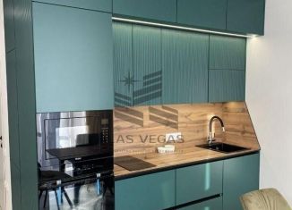 2-комнатная квартира в аренду, 48 м2, Сочи, переулок Трунова, 6к7, микрорайон Завокзальный