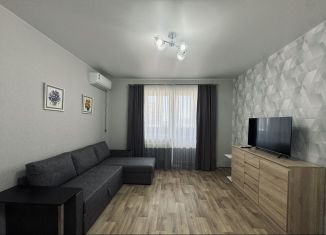 Сдача в аренду 2-ком. квартиры, 55 м2, Краснодар, улица Петра Метальникова, 38, микрорайон Завод Радиоизмерительных Приборов