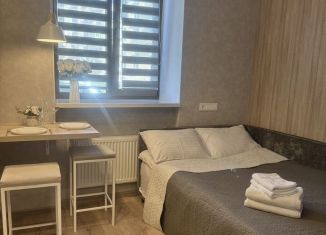 Продается квартира студия, 14.1 м2, Санкт-Петербург, Большая Монетная улица, 31-33