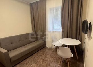 Квартира в аренду студия, 18 м2, Новосибирск, улица Зорге, 60