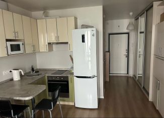 Продам квартиру студию, 25 м2, Ростов-на-Дону, Орбитальная улица, 19, ЖК Норд