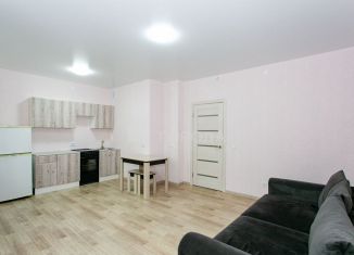 Квартира в аренду студия, 30 м2, Новосибирск, улица Бородина, 54