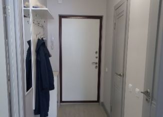 Сдается в аренду 1-ком. квартира, 40.6 м2, Мурино, улица Шувалова