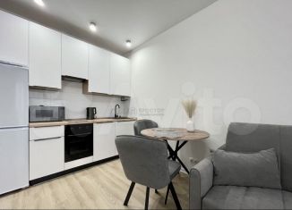 Квартира в аренду студия, 25.5 м2, Москва, Муравская улица, 38Бк4, СЗАО