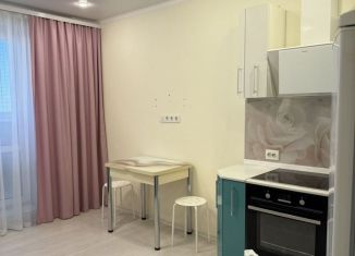 Сдам квартиру студию, 21 м2, Тюмень, улица Тимофея Чаркова, 28, ЖК Новый Мыс 3.0