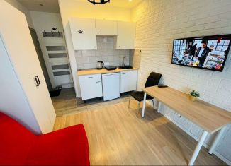 Аренда квартиры студии, 25 м2, Котельники, Сосновая улица, 1к4