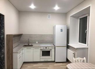 Сдается в аренду 2-ком. квартира, 40 м2, село Мариинский, проспект Октября, 99