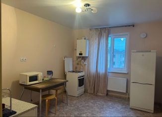 Сдам однокомнатную квартиру, 45 м2, деревня Куюки, 13-й квартал, 3