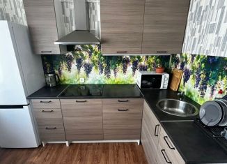 Однокомнатная квартира на продажу, 44 м2, Новосибирск, микрорайон Горский, 63, Ленинский район