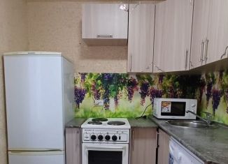 Сдам в аренду 1-комнатную квартиру, 30 м2, Тюменская область, улица 50 лет ВЛКСМ, 71А