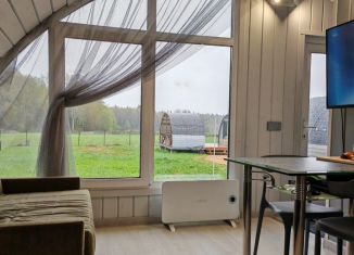 Продажа дома, 24 м2, дачный посёлок Солнечный Берег, 3-я Парковая улица