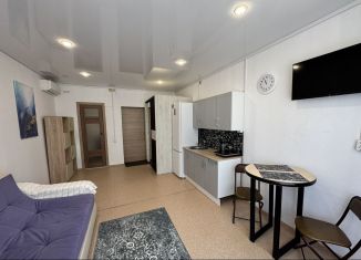 Сдам квартиру студию, 44 м2, Тюмень, Первомайская улица, 58