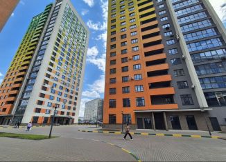 Продаю 1-ком. квартиру, 69 м2, Нижний Новгород, метро Горьковская, улица Родионова, 192к3