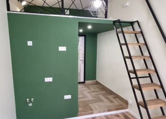 Продается квартира студия, 20.4 м2, Санкт-Петербург, Василеостровский район, 14-я линия Васильевского острова, 57-61