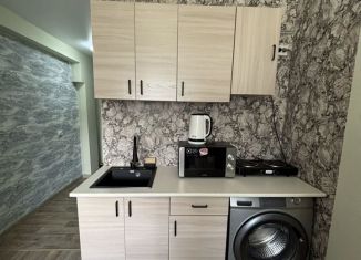 Сдам в аренду квартиру студию, 18 м2, Новосибирск, Сухановская улица, 6А, метро Заельцовская