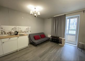 Квартира на продажу студия, 26.5 м2, Санкт-Петербург, Пулковское шоссе, 42к6, Пулковское шоссе