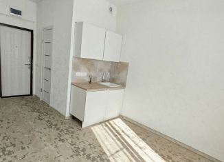 Продаю квартиру студию, 19 м2, Нижний Новгород, улица Энгельса, 2, Сормовский район