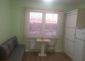 Сдаю квартиру студию, 19.8 м2, Санкт-Петербург, Муринская дорога, 31к2, метро Академическая